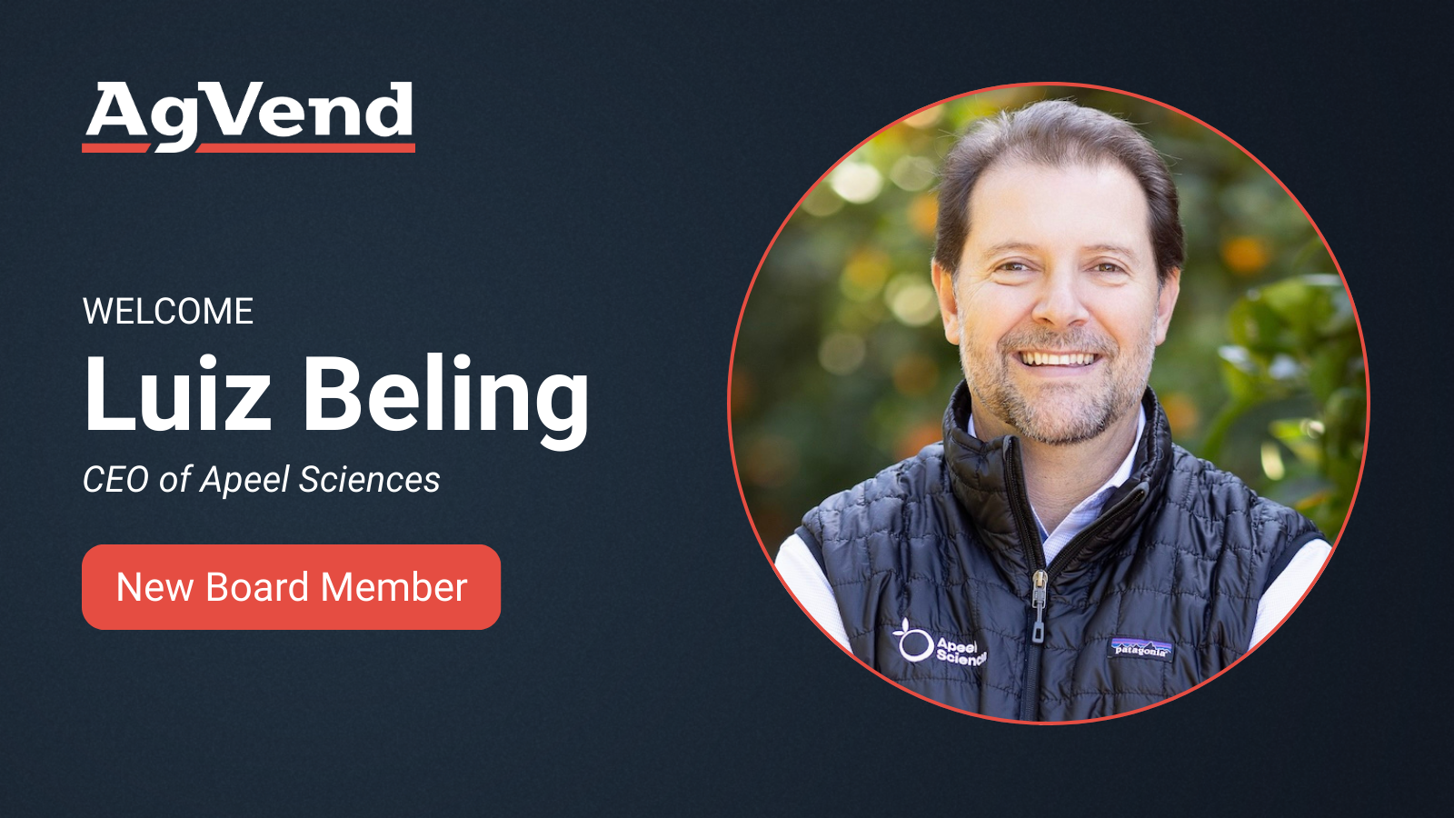 Luiz Beling, Independent Director to the AgVend Board